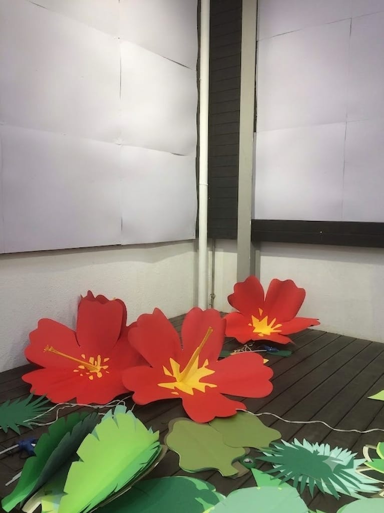Foto 2